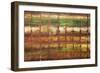 Window Panes-Hilary Winfield-Framed Giclee Print