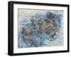 Window Pond-Tyson Estes-Framed Giclee Print