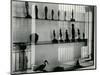 Window Reflection, California, 1954-Brett Weston-Mounted Photographic Print