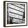 Window Reflection I-Jairo Rodriguez-Framed Photographic Print