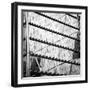 Window Reflection I-Jairo Rodriguez-Framed Photographic Print