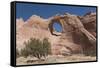 Window Rock Navajo Tribal Park, Arizona, United States of America, North America-Richard Maschmeyer-Framed Stretched Canvas