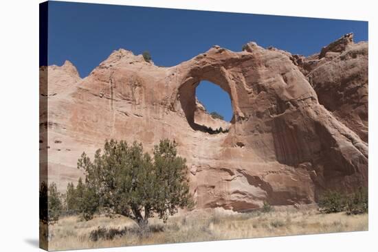 Window Rock Navajo Tribal Park, Arizona, United States of America, North America-Richard Maschmeyer-Stretched Canvas