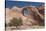 Window Rock Navajo Tribal Park, Arizona, United States of America, North America-Richard Maschmeyer-Stretched Canvas
