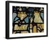 Window S5 Depicting a King and a Queen-null-Framed Giclee Print