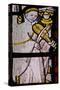 Window S6 Depicting a Musician with Rebec-null-Stretched Canvas