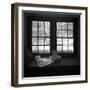 Window Seat Blizzard-Tom Artin-Framed Art Print