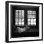 Window Seat Blizzard-Tom Artin-Framed Art Print