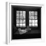 Window Seat Blizzard-Tom Artin-Framed Art Print