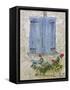Window Shutters and Roses, Roquefixade, Ariege, Midi-Pyrenees, France-Doug Pearson-Framed Stretched Canvas
