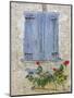 Window Shutters and Roses, Roquefixade, Ariege, Midi-Pyrenees, France-Doug Pearson-Mounted Photographic Print