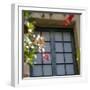 Window Sill-Nicole Katano-Framed Photo