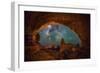 Window to the Heavens11-Darren White Photography-Framed Giclee Print