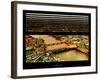 Window View of City of London at Nightfall - River Thames - London - UK - England-Philippe Hugonnard-Framed Photographic Print