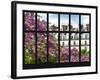 Window View - Parisian Architecture in the Spring - Paris - Ile de France - France - Europe-Philippe Hugonnard-Framed Photographic Print