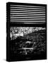 Window View with Venetian Blinds: Central Park with Upper West Side Buildings - Manhattan-Philippe Hugonnard-Stretched Canvas