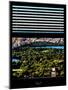 Window View with Venetian Blinds: Central Park with Upper West Side Buildings-Philippe Hugonnard-Mounted Photographic Print