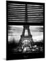 Window View with Venetian Blinds: Eiffel Tower and the Champ de Mars - Paris, France-Philippe Hugonnard-Mounted Photographic Print