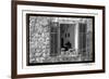 Window View-Laura DeNardo-Framed Photographic Print