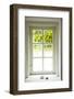 Window, Vine Leaves, Transom Window, Plants-Nora Frei-Framed Photographic Print