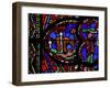 Window W0 Depicting a Lion Revives its Young-null-Framed Giclee Print