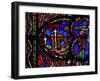 Window W0 Depicting a Lion Revives its Young-null-Framed Giclee Print