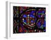 Window W0 Depicting a Lion Revives its Young-null-Framed Giclee Print