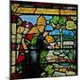 Window W1 Depicting the Creation of Fish and Fowl-null-Mounted Giclee Print