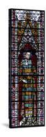 Window W2 Depicting St Vincent-null-Stretched Canvas