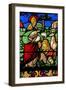 Window W2 Depicting the Creation of the Animals-null-Framed Giclee Print