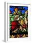 Window W2 Depicting the Creation of the Animals-null-Framed Giclee Print