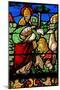 Window W2 Depicting the Creation of the Animals-null-Mounted Giclee Print