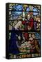 Window W20 Depicting the Nativity-null-Framed Stretched Canvas