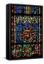 Window W203 Depicting St Exupery-null-Framed Stretched Canvas