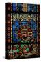 Window W203 Depicting St Exupery-null-Stretched Canvas