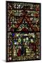 Window W37 Depicting the Presentation in the Temple-null-Mounted Giclee Print
