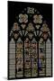 Window W49 Depicting the Mystic Wine-Press-null-Mounted Giclee Print