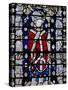 Window W6 Depicting St Chad-null-Stretched Canvas