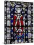 Window W6 Depicting St Chad-null-Stretched Canvas