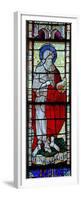 Window W6 Depicting St John the Baptist-null-Framed Premium Giclee Print