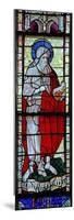 Window W6 Depicting St John the Baptist-null-Mounted Premium Giclee Print