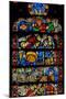 Window W8 Depicting Details of the Tree of Life-null-Mounted Giclee Print