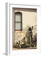 Window with Cactus-Jillian Melnyk-Framed Photographic Print