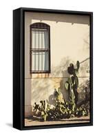 Window with Cactus-Jillian Melnyk-Framed Stretched Canvas