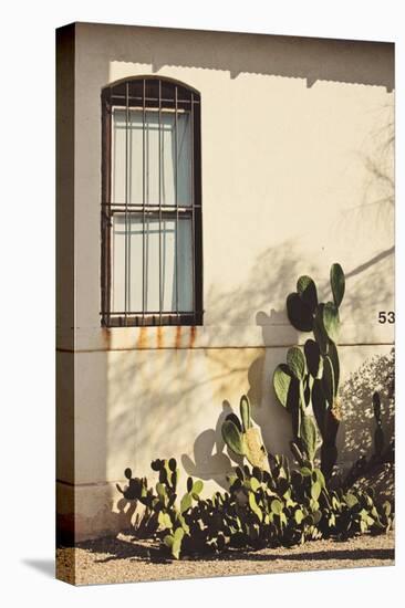 Window with Cactus-Jillian Melnyk-Stretched Canvas