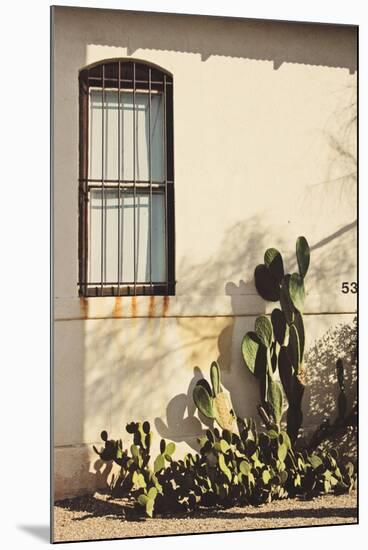 Window with Cactus-Jillian Melnyk-Mounted Photographic Print