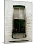 Window with Flower Box in Front of It-Nora Hernandez-Mounted Giclee Print