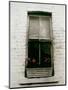 Window with Flower Box in Front of It-Nora Hernandez-Mounted Giclee Print