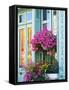 Window With Flowers, France, Europe-Guy Thouvenin-Framed Stretched Canvas