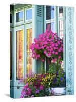 Window With Flowers, France, Europe-Guy Thouvenin-Stretched Canvas